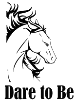 2011 Shakopee Jaycees 2011 Shakopee Jaycees